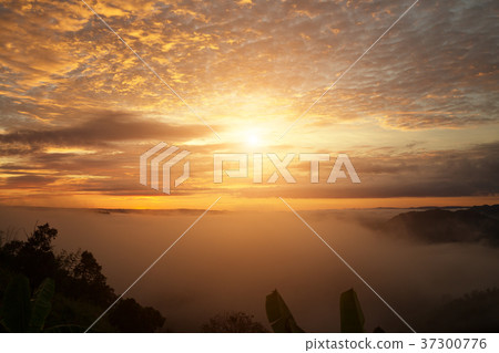 Foggy landscape mountain in Mekong river Foggy landscape mountain in Mekong river 37300776