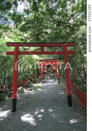Kishu Toshogu Shrine Kishu Toshogu Shrine 37301165