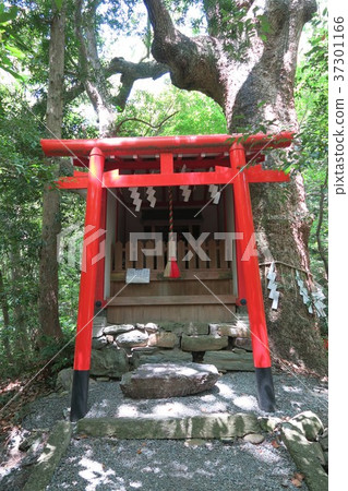 Kishu Toshogu Shrine Kishu Toshogu Shrine 37301166