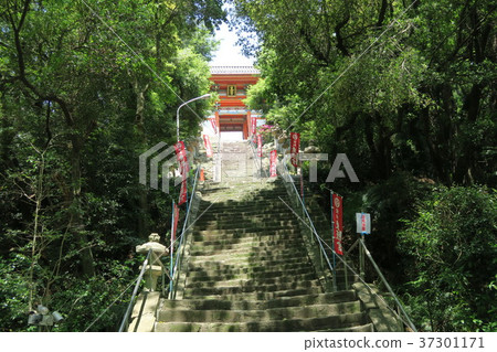 Kishu Toshogu Shrine Kishu Toshogu Shrine 37301171