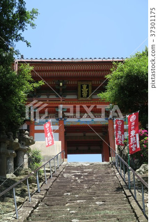紀州東照宮 37301175