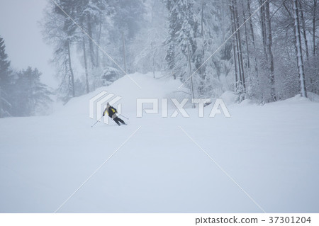 Skier on piste running downhill Skier on piste running downhill 37301204
