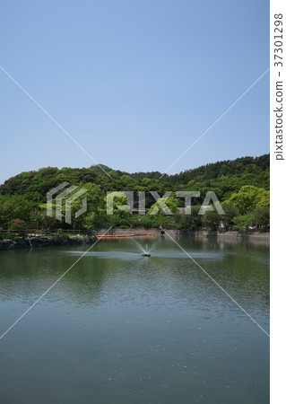 御手洗池塘 御手洗池塘 37301298