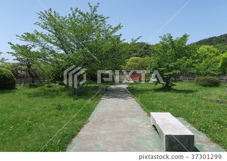 御手洗池塘公園 37301299