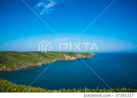 Primitive Flower Garden Ayamegahara Chimbe Observatory 37301317