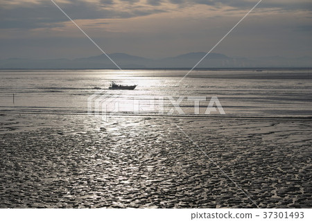 Ariake tidal flat 37301493