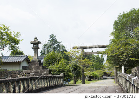 熊本 37301738