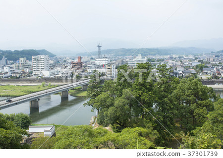 Kumamoto Kumamoto 37301739