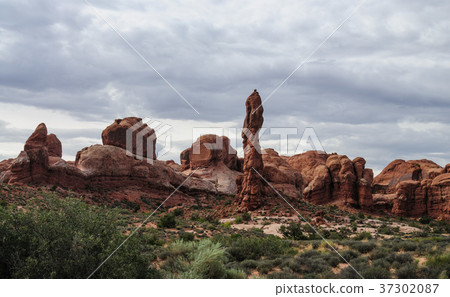 Arches National Park 37302087