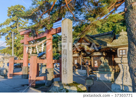 Shirakaba Shrine illuminated by the morning sun 37303771