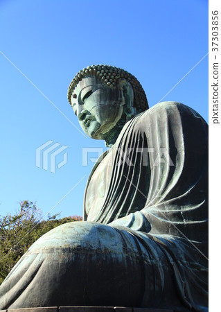 The Great Buddha of Kamakura The Great Buddha of Kamakura 37303856
