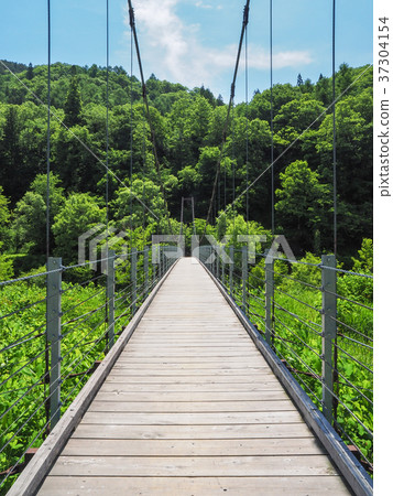 Fresh green suspension bridge 37304154