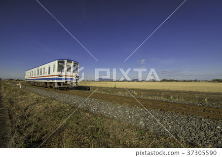 藍天和柴油汽車 37305590