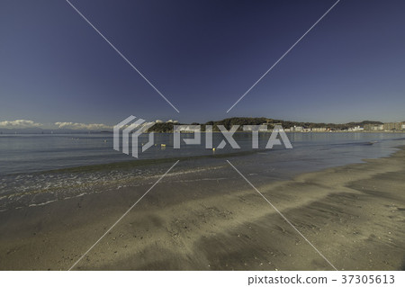 Winter sand beach 37305613