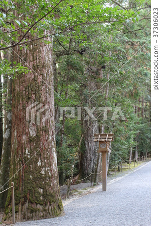 Takihara神社的入口 37306023