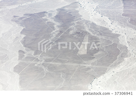 Nazca lines from the aircraft 37306941