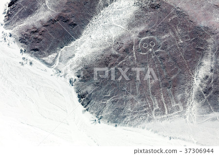 Nazca lines from the aircraft 37306944