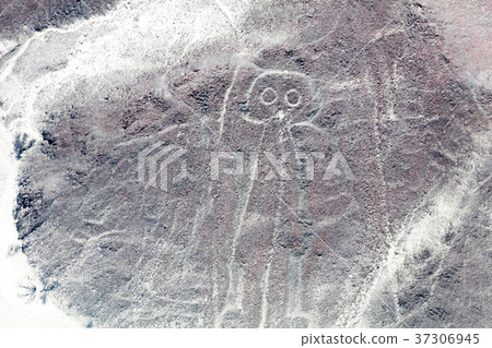 Nazca lines from the aircraft 37306945