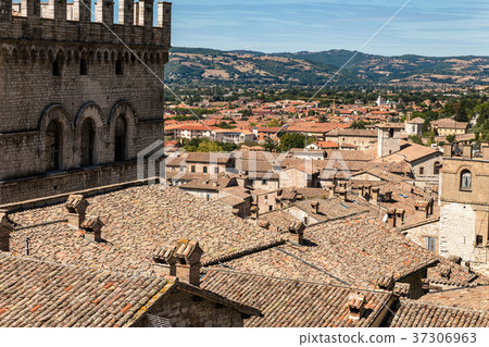 View of the ducal palace 37306963