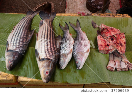 Fish at market 37306989