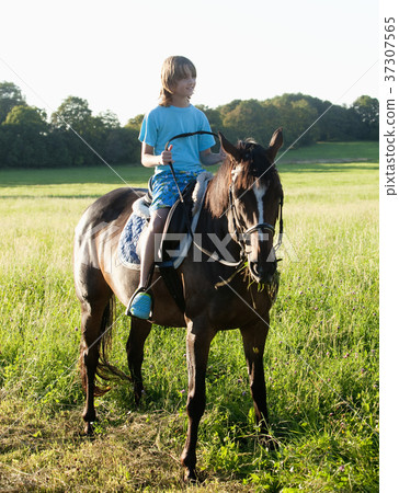 Boy in a Saddle of Horse Horseback Riding 37307565