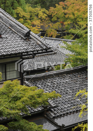 Autumn leaves and Japanese houses 37308766