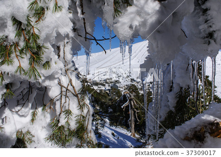 Navacerrada Madrid Spain 37309017