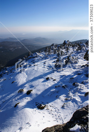 Navacerrada Madrid Spain 37309023