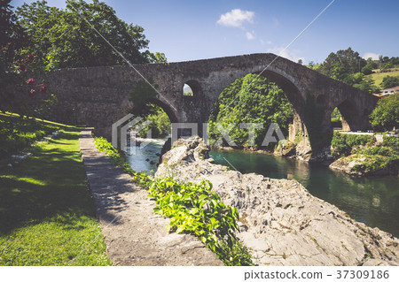 Old Roman stone bridge in Cangas de Onis Old Roman stone bridge in Cangas de Onis 37309186