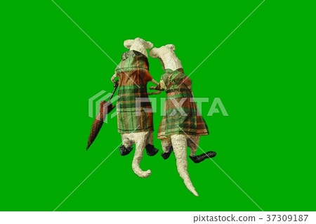Isolated on green papier-mache a pair of old Isolated on green papier-mache a pair of old 37309187