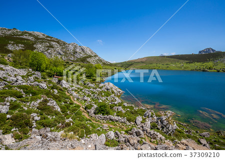 Lake Enol and mountain retreat, the famous lakes Lake Enol and mountain retreat, the famous lakes 37309210