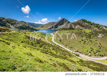 Lake Enol and mountain retreat, the famous lakes 37309218