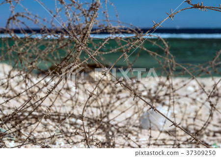 Old barbed wire infront of sea. Wire and blue sky 37309250