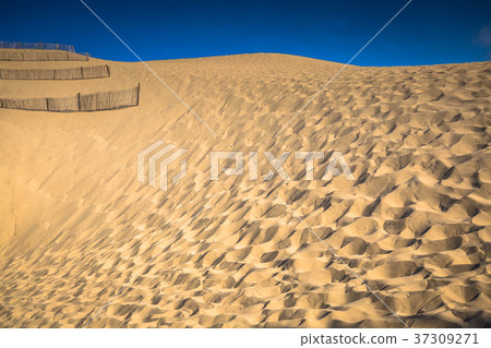 Dune du Pyla - the largest sand dune in Europe Dune du Pyla - the largest sand dune in Europe 37309271