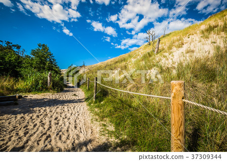 Desert landscape, Slowinski National Park  37309344