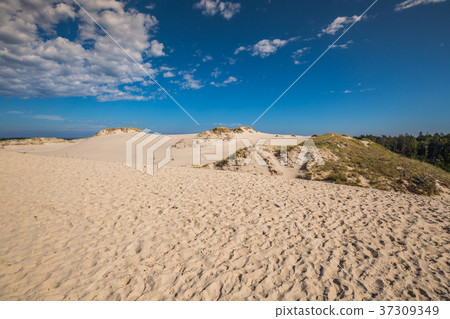 Desert landscape, Slowinski National Park  37309349