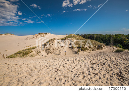 Desert landscape, Slowinski National Park  37309350