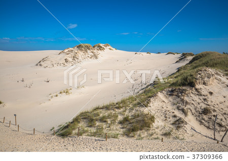 Moving dunes in the Slowinski National Park 37309366