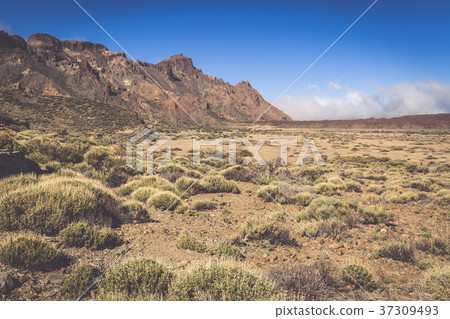 Teide National Park Roques de Garcia in Tenerife  37309493
