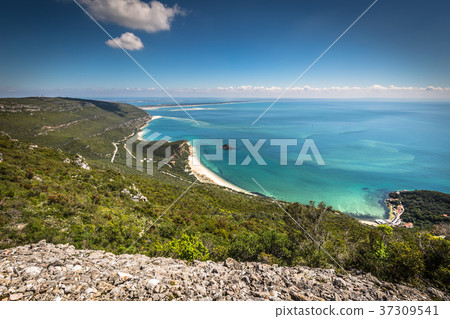 Beautiful landscape view of the National Park  37309541