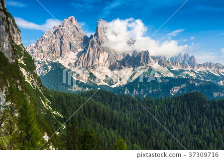 National Park panorama and Dolomiti mountains National Park panorama and Dolomiti mountains 37309716