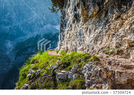 National Park panorama and Dolomiti mountains  37309724