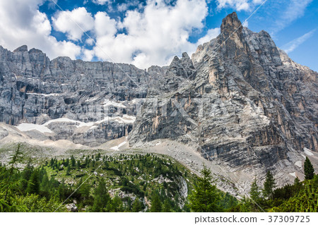 National Park panorama and Dolomiti mountains National Park panorama and Dolomiti mountains 37309725