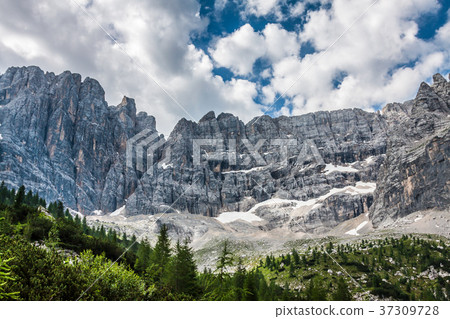 National Park panorama and Dolomiti mountains National Park panorama and Dolomiti mountains 37309728