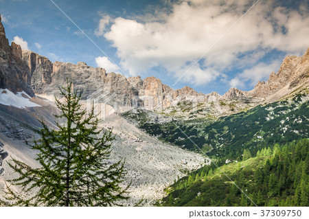 National Park panorama and Dolomiti mountains National Park panorama and Dolomiti mountains 37309750