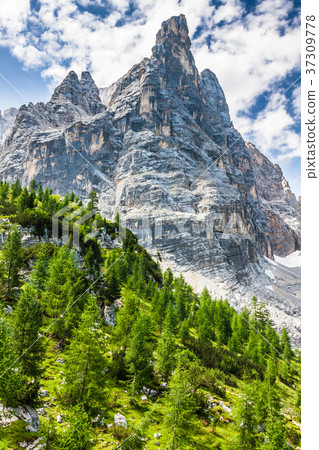National Park panorama and Dolomiti mountains National Park panorama and Dolomiti mountains 37309778