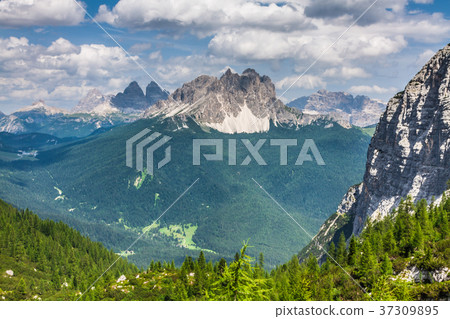 National Park panorama and Dolomiti mountains National Park panorama and Dolomiti mountains 37309895