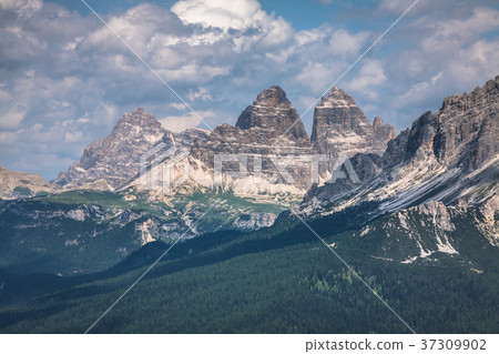 National Park panorama and Dolomiti mountains National Park panorama and Dolomiti mountains 37309902