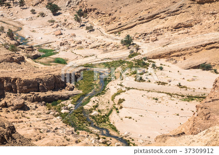 Mountain oasis Tamerza in Tunisia Mountain oasis Tamerza in Tunisia 37309912