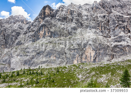 National Park panorama and Dolomiti mountains  37309933